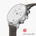 PI42SILEGRXX &Silver men's watch with white face and patina grey strap