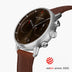 Pioneer | Brown Sunray Dial - Brown Leather