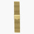 Mesh Strap  - Gold - 40mm/42mm