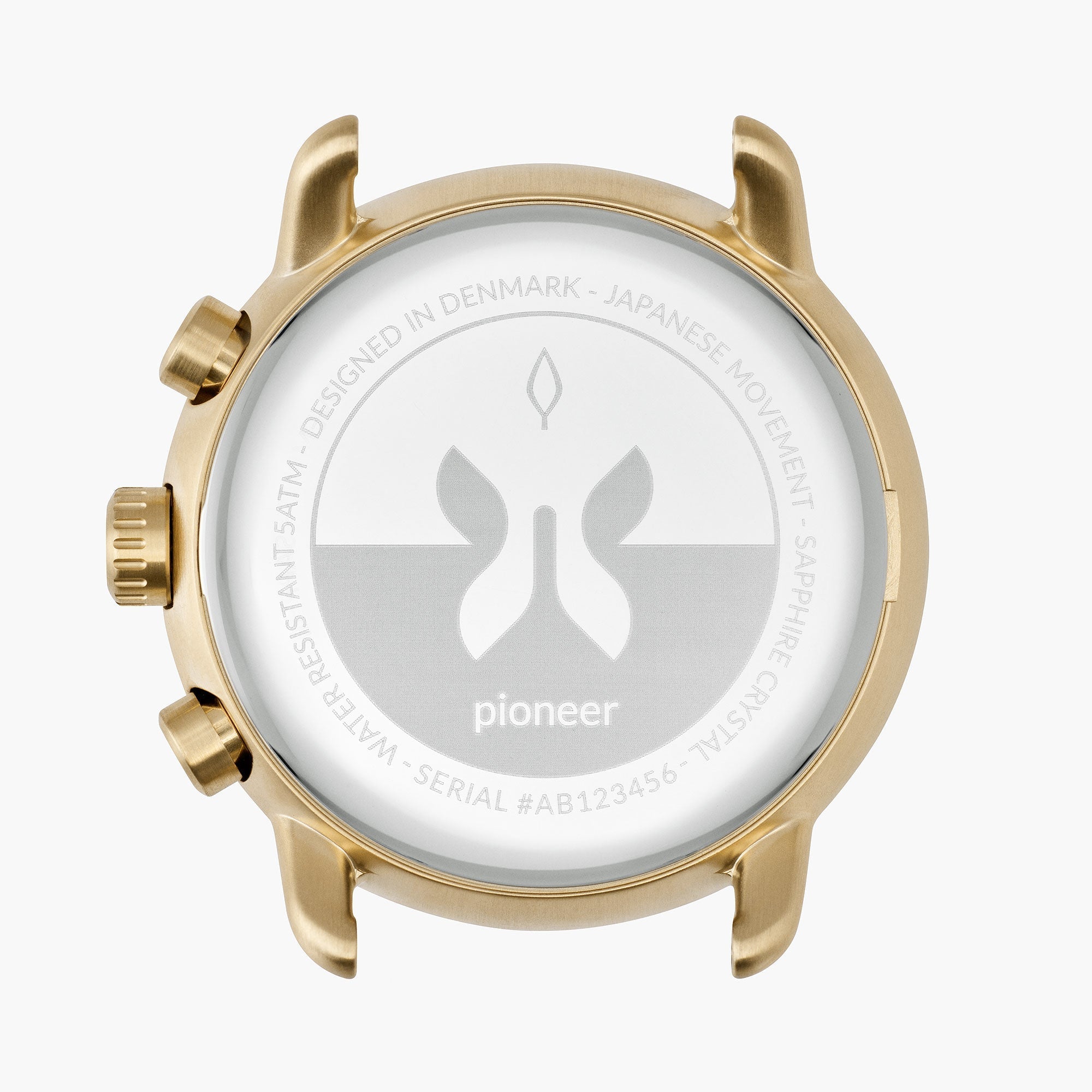 Pioneer Gold 42mm