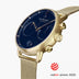 PI42GOMEGONA &Gold and blue men's watch with mesh strap