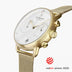 PI42GOMEGOXX &Gold men's watch with white face and mesh strap